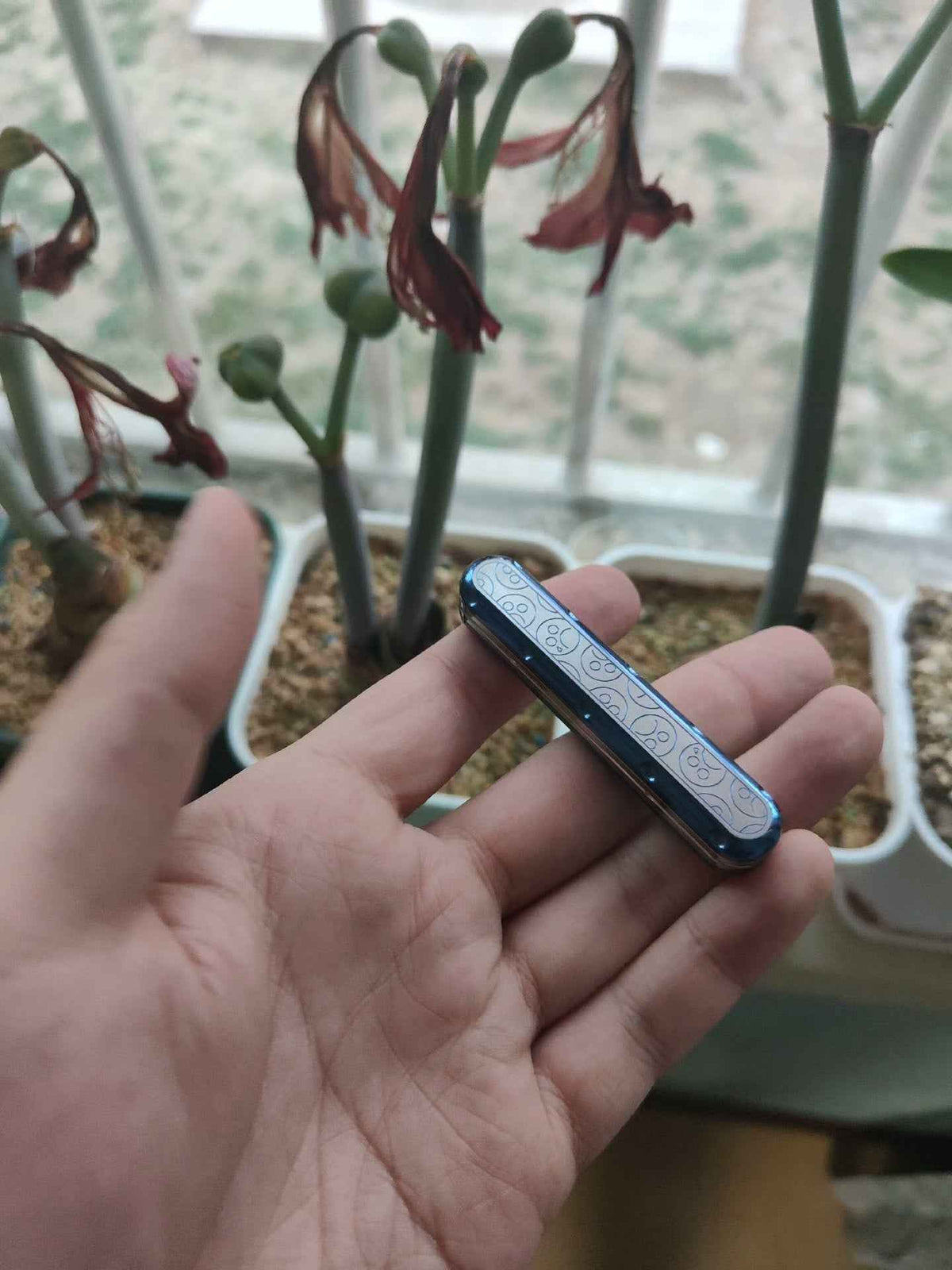 Top D Titanium