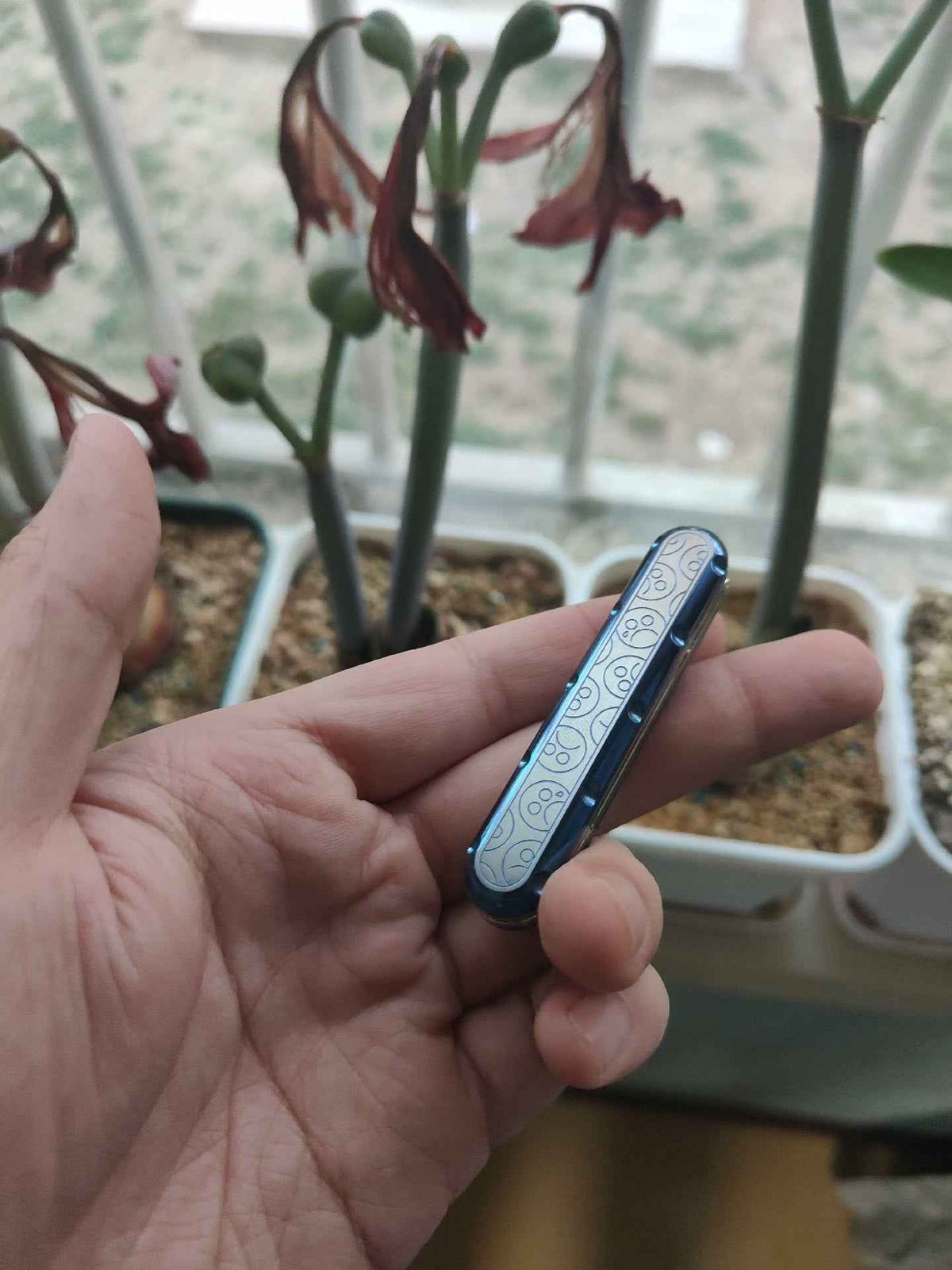 Top D Titanium
