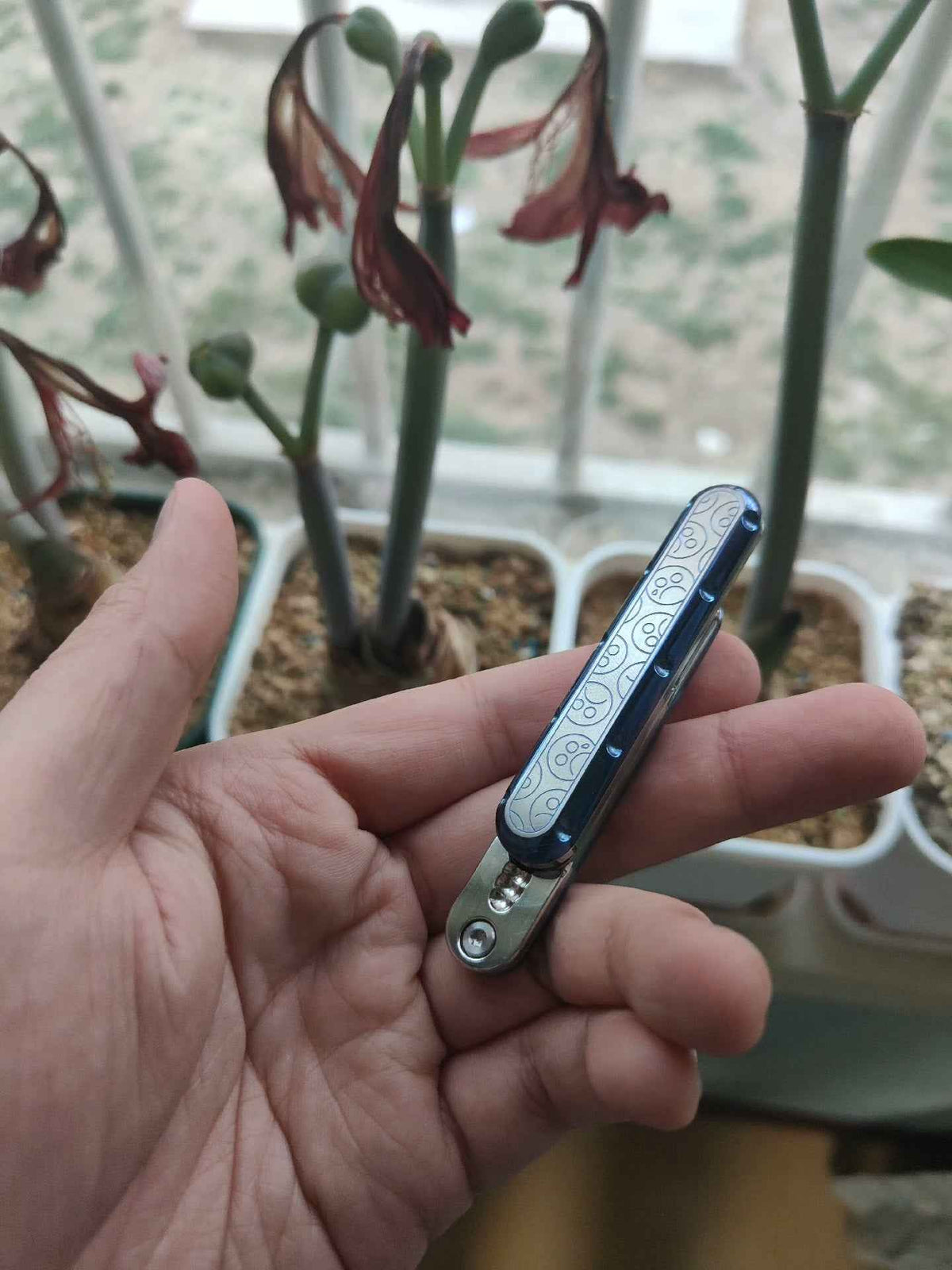 Top D Titanium