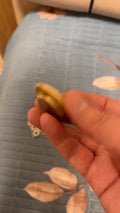 ROC-1.0 Brass