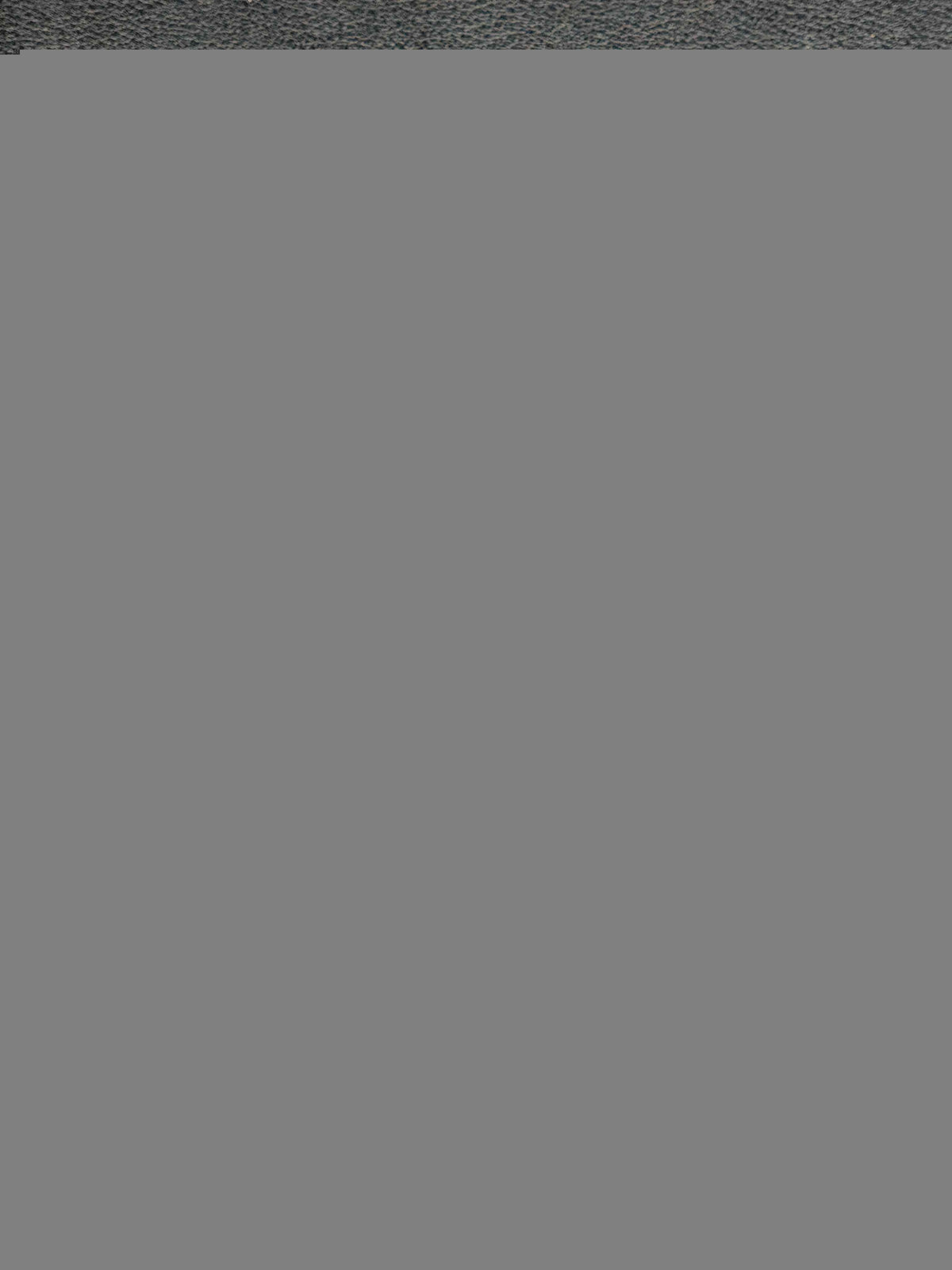 BIT 09 Titanium